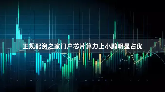 正规配资之家门户芯片算力上小鹏明显占优
